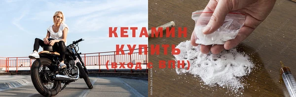 шишки Гатчина