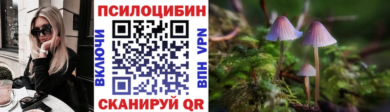 ОМГ ОМГ как войти  shop какой сайт  Донецк  Псилоцибиновые грибы мицелий  где купить  