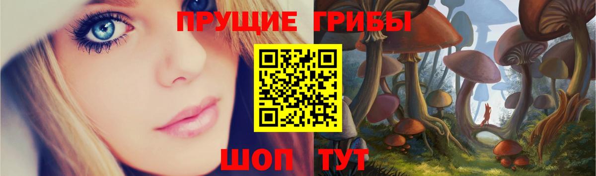 Псилоцибиновые грибы GOLDEN TEACHER Донецк