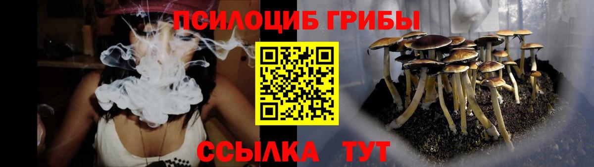 Галлюциногенные грибы Psilocybe  Вход с VPN  Псилоцибиновые грибы Psilocybine cubensis  Донецк 